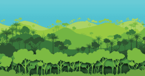 Lush_forest_field