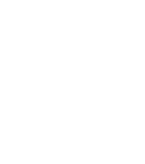 Terra White logo 1