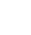 Terra White logo